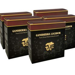 قارچ گانودرما بسته 500 گرمی